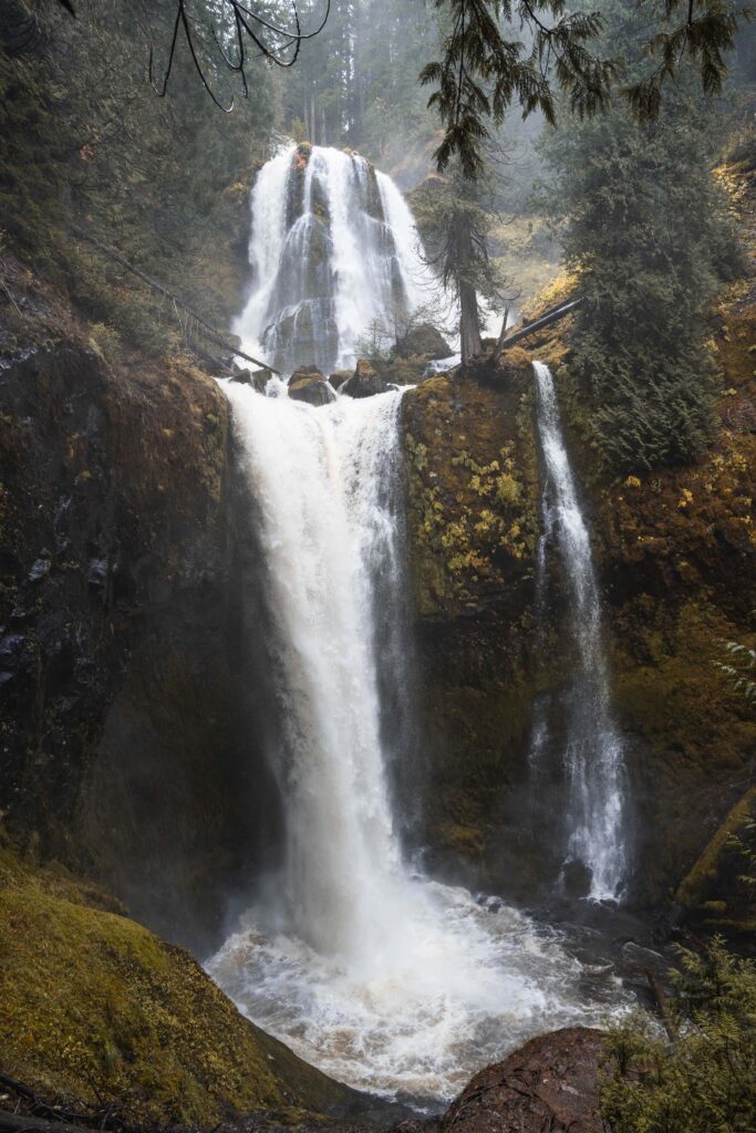 Falls Creek Falls in the Columbia River Gorge