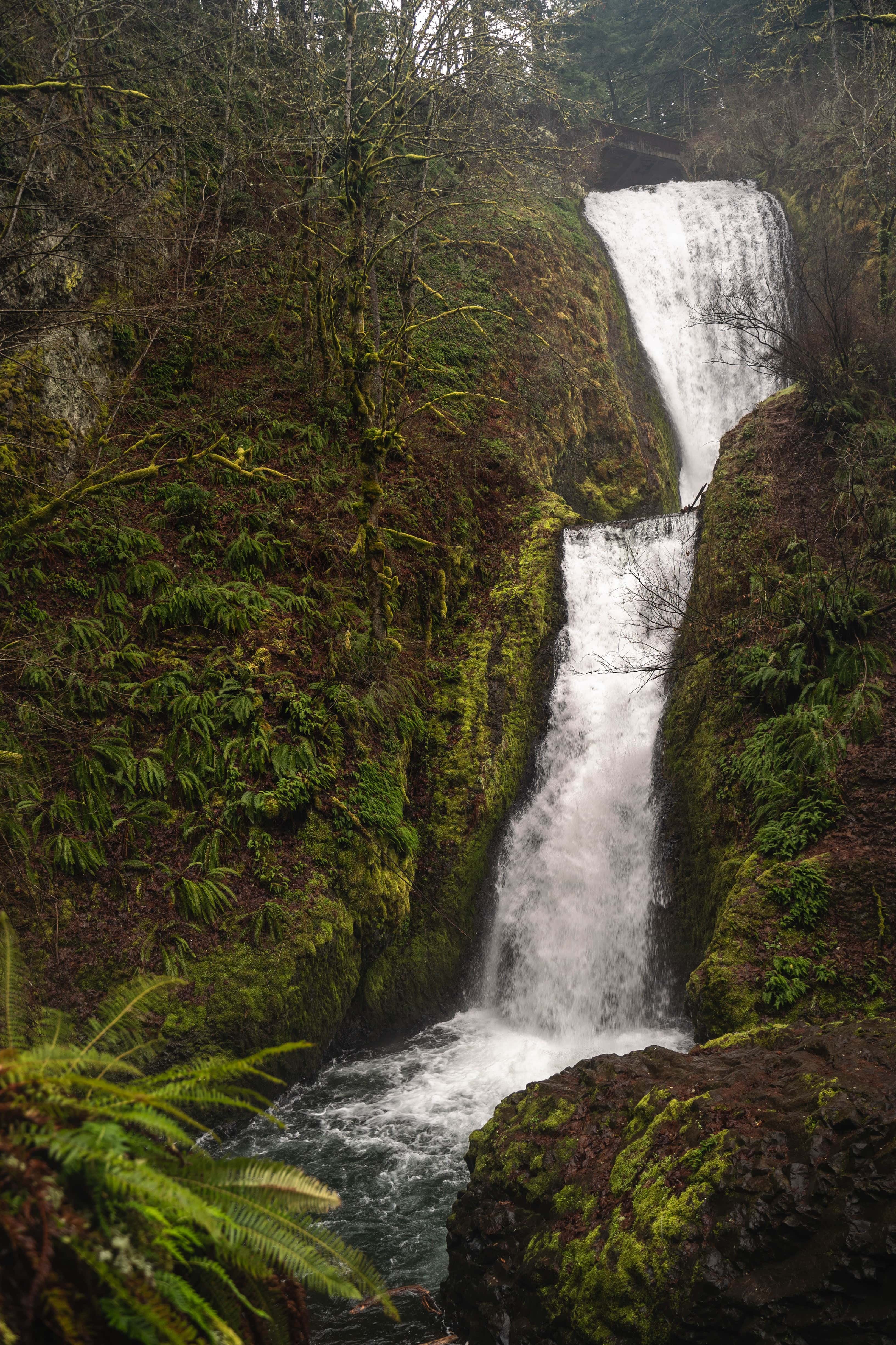 Bridal Veil Falls- an perfect elopement location in Oregon