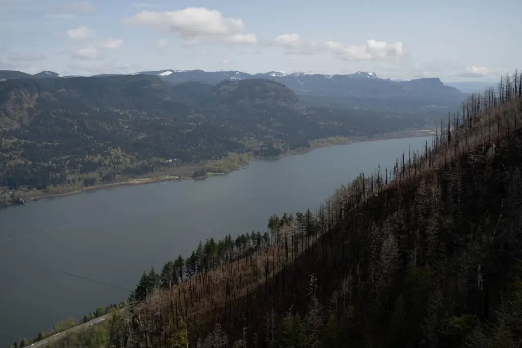 Angels Rest Viewpoint overlooking the columbia river gorge