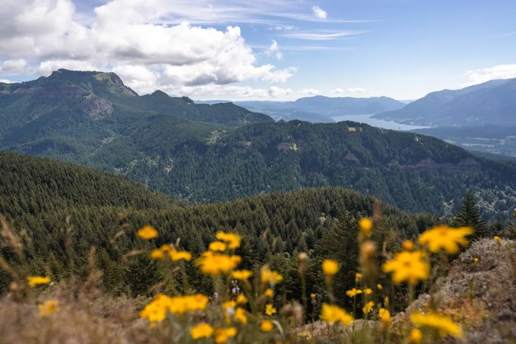 view from the Saddle of Hamilton Mountain in Washington- a perfect elopement location